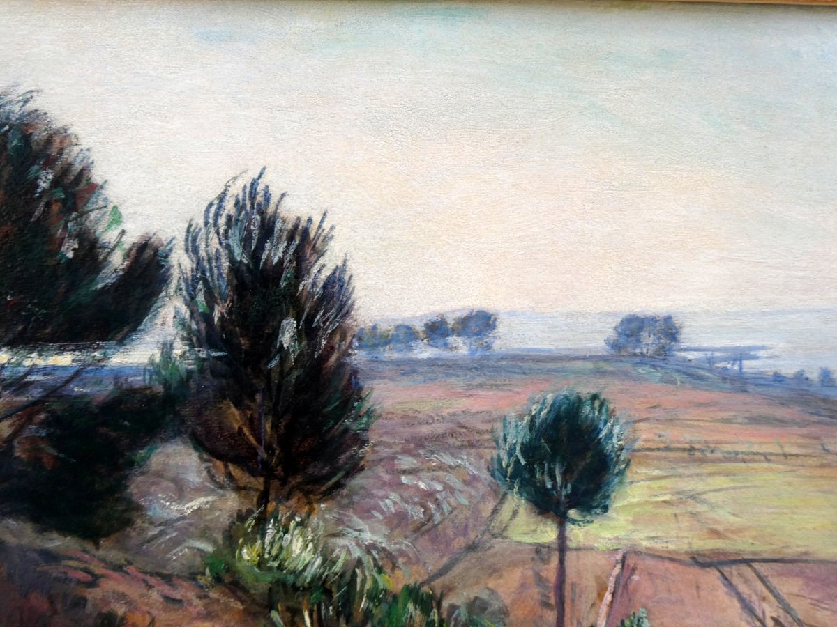 René Seyssaud (1867-1952) Paysage du Palous, sur les bords de l'Etang de Berre -photo-3