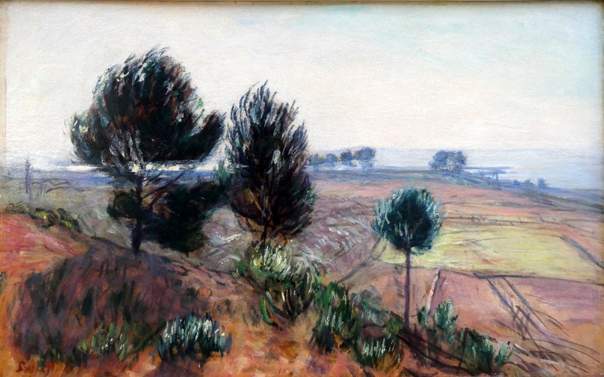 René Seyssaud (1867-1952) Paysage du Palous, sur les bords de l'Etang de Berre -photo-5