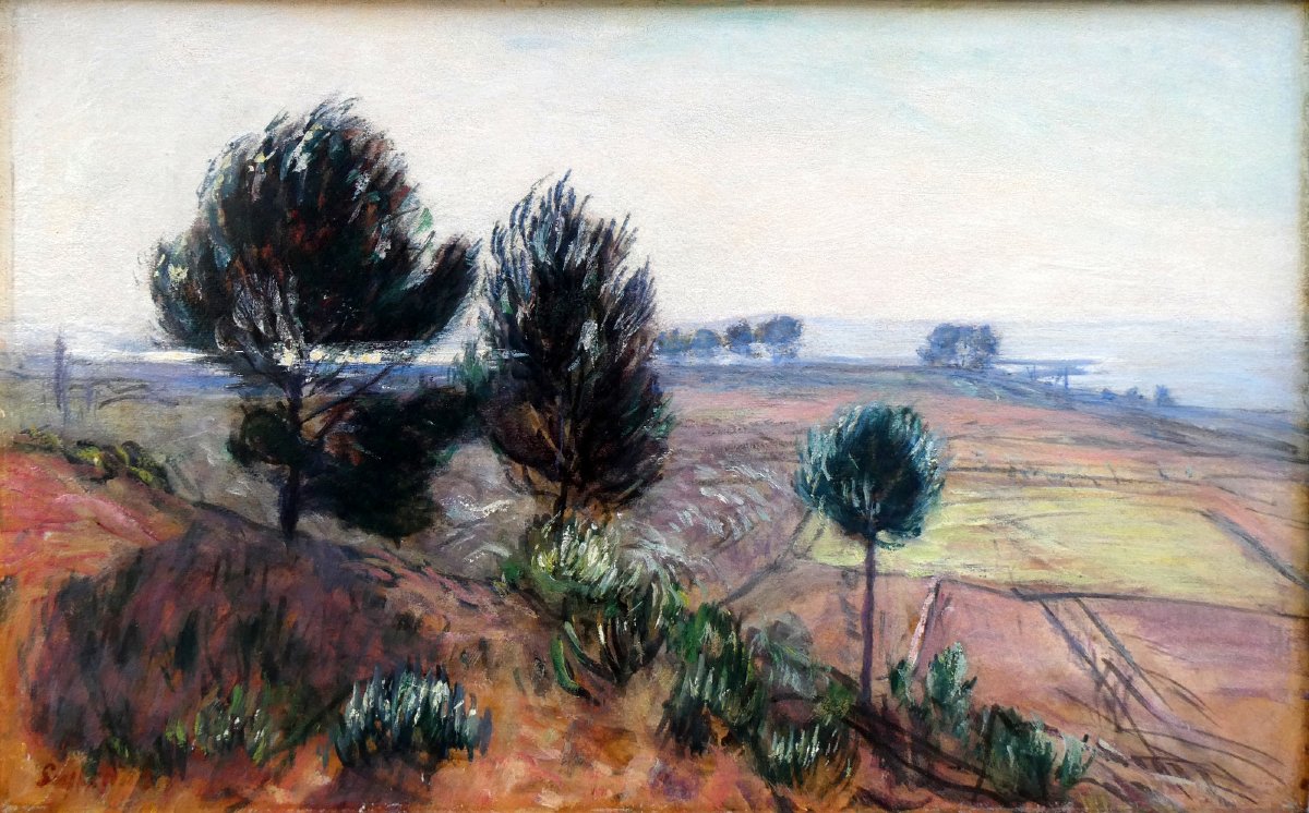 René Seyssaud (1867-1952) Paysage du Palous, sur les bords de l'Etang de Berre 