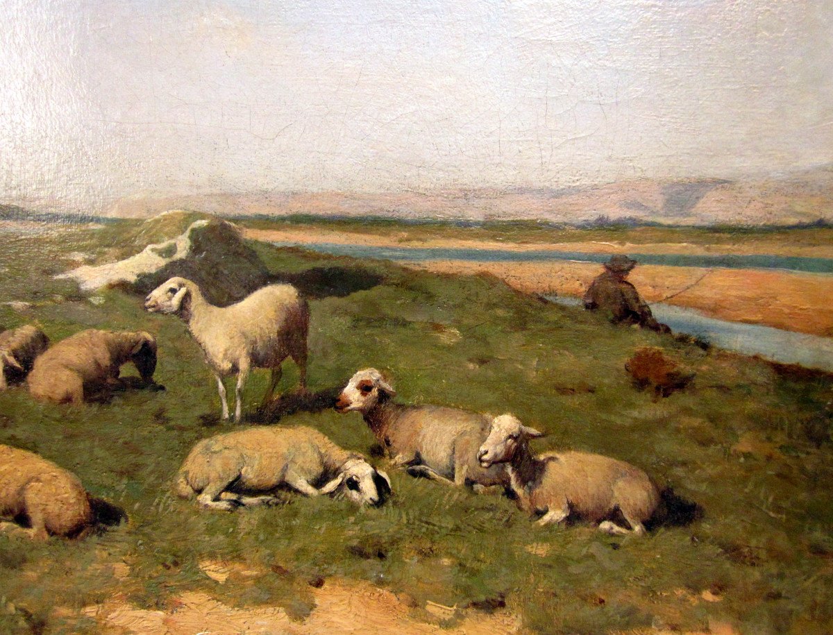 Walter Biddlecombe (1855-1903) Shepherd And His Flock In The Durance Valley-photo-4