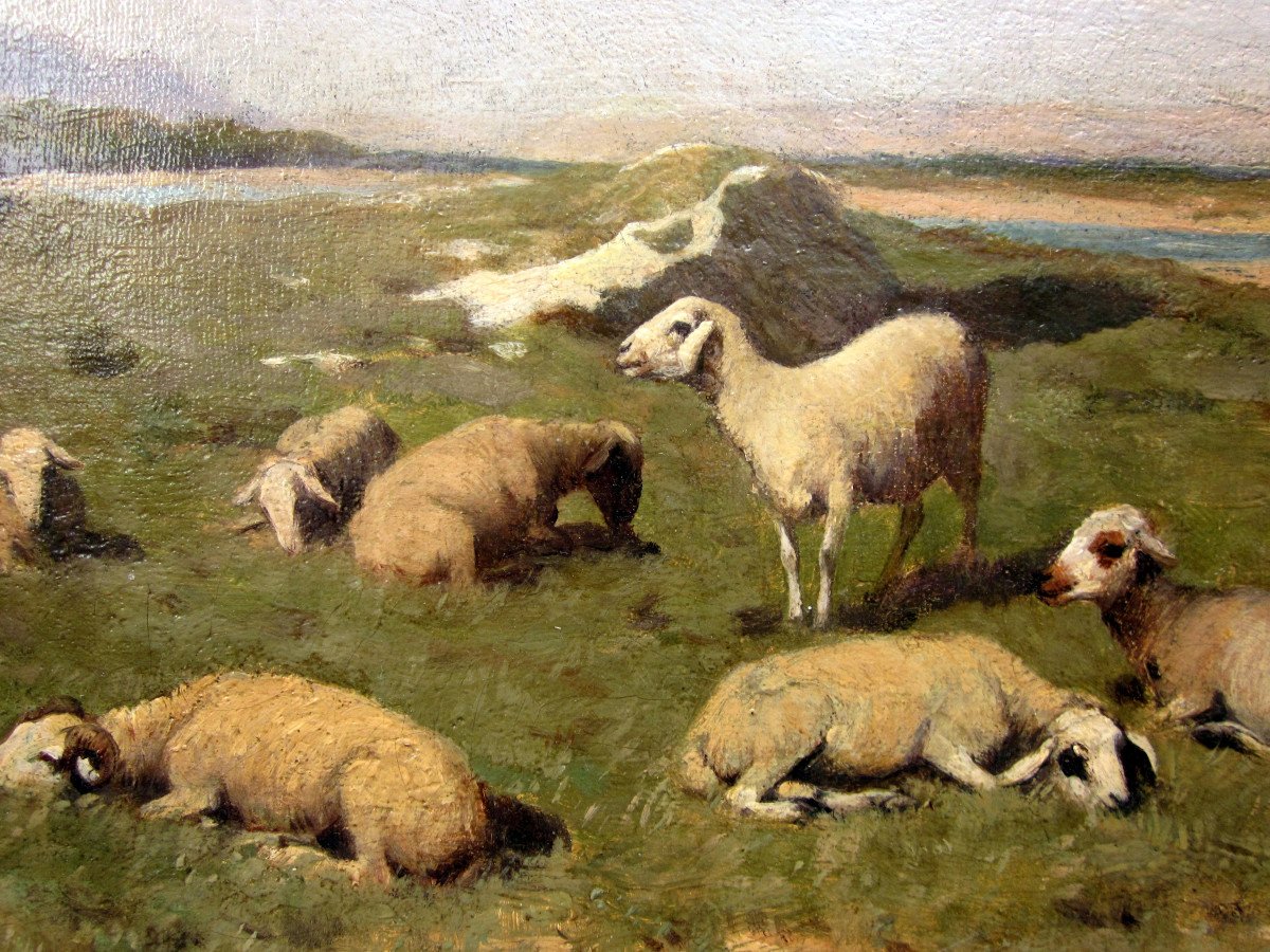 Walter Biddlecombe (1855-1903) Shepherd And His Flock In The Durance Valley-photo-1