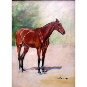 Auguste Vimar (1851-1916) Portrait Of English Thoroughbred Horse