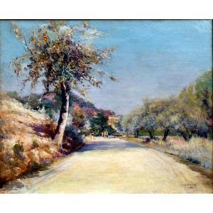 Louis Nattero (1870-1915)  Chemin Bordé d'Oliviers  Aux Environs De Toulon