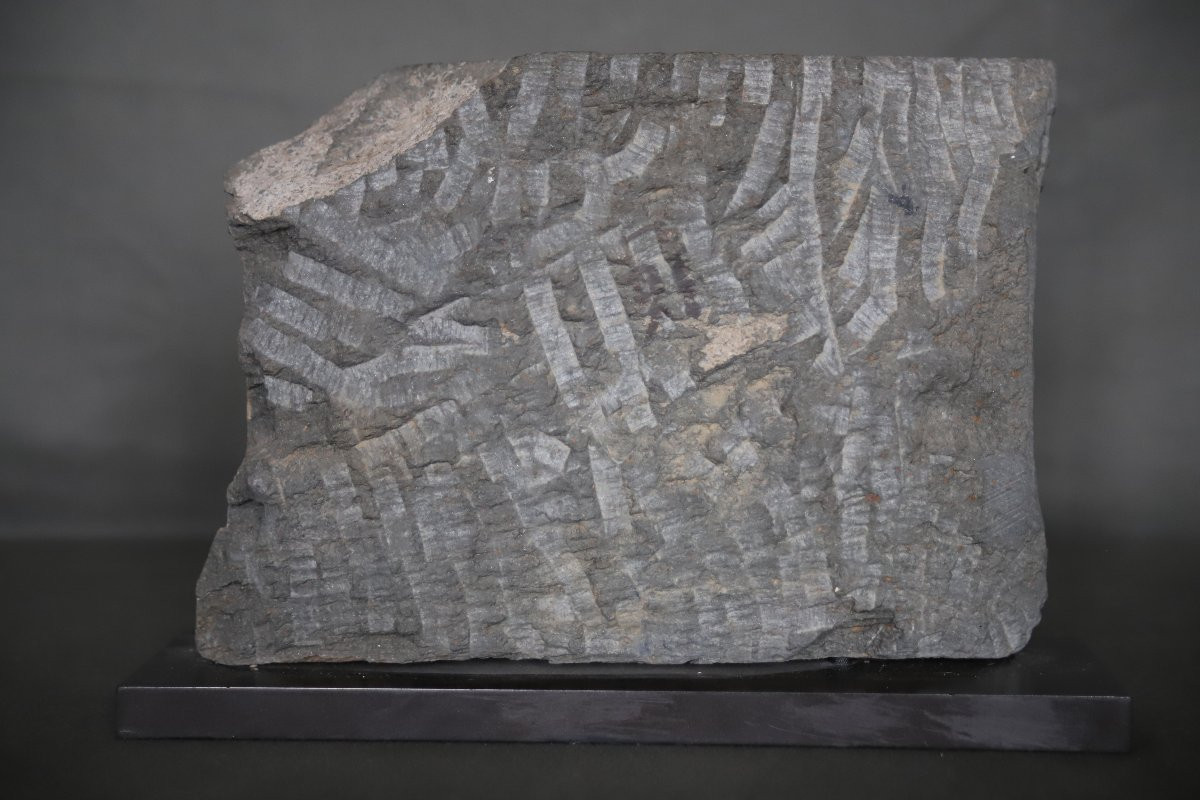 Gandharan Sculpture Representing The Cult Of The Three Jewels - 1st-3rd Century Ad-photo-7