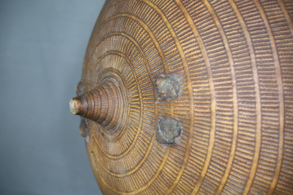 Ethiopian Shield - Abyssinia, Early 20th Century Or Earlier-photo-4