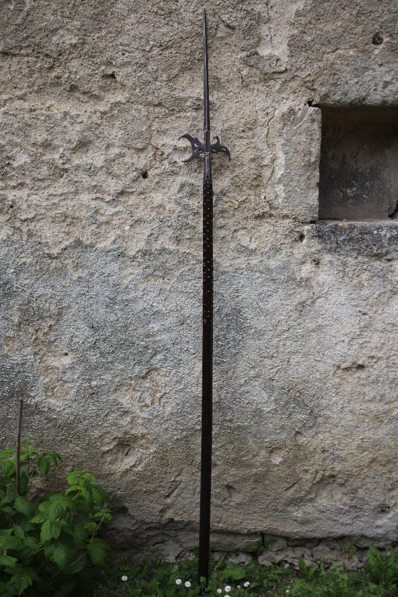 Hallebarde à Bec De Corbin - France, 17ème Siècle-photo-8