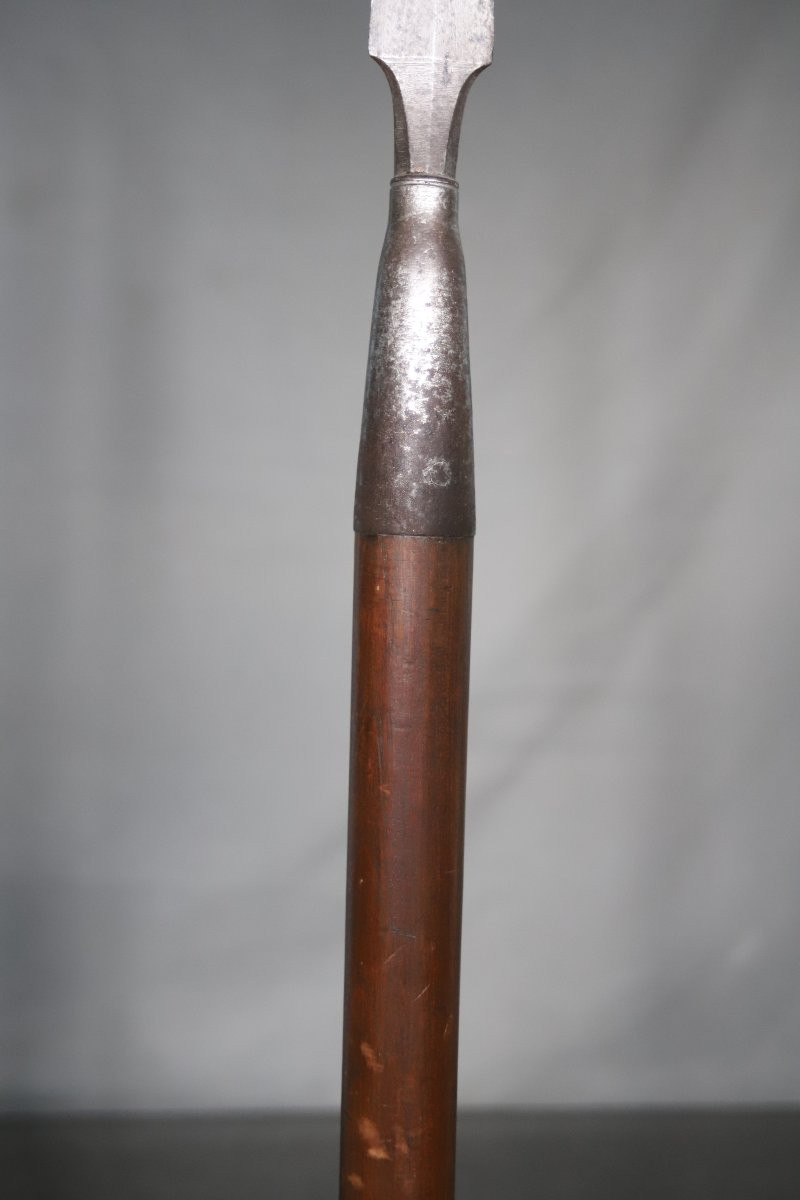 Hunting Spear, Naval Pike? France 19th Century-photo-3