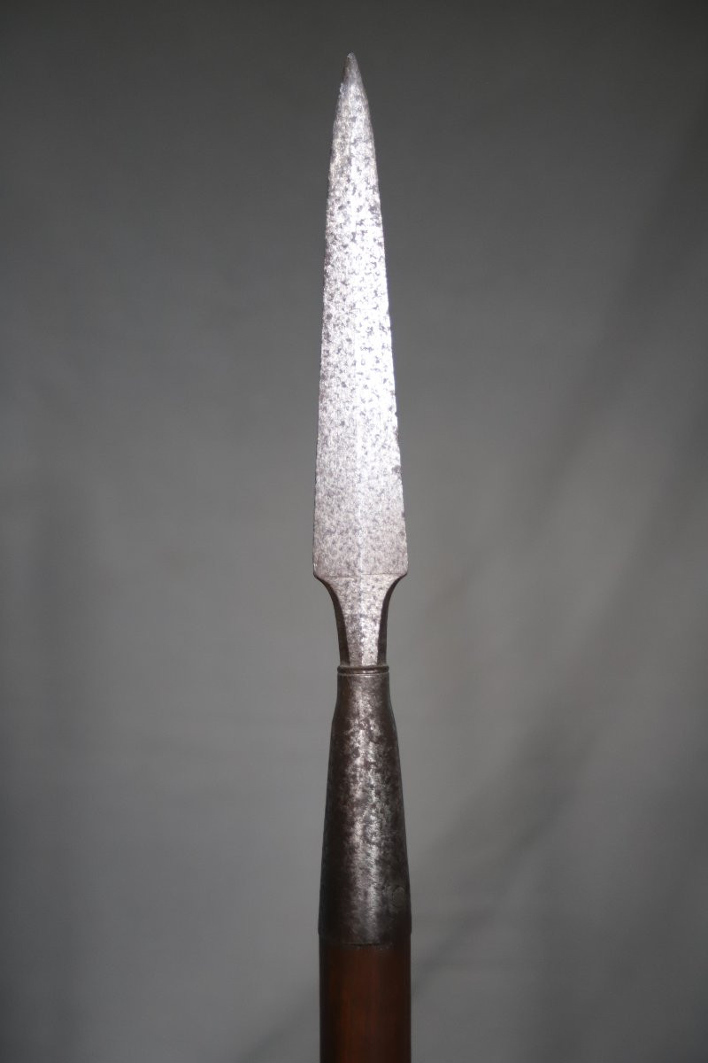 Hunting Spear, Naval Pike? France 19th Century-photo-4