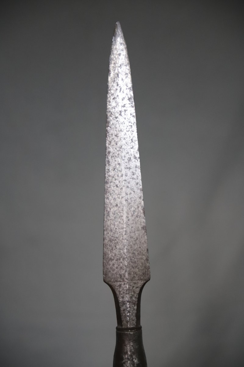 Hunting Spear, Naval Pike? France 19th Century-photo-1