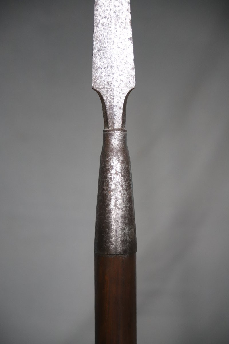 Hunting Spear, Naval Pike? France 19th Century-photo-2