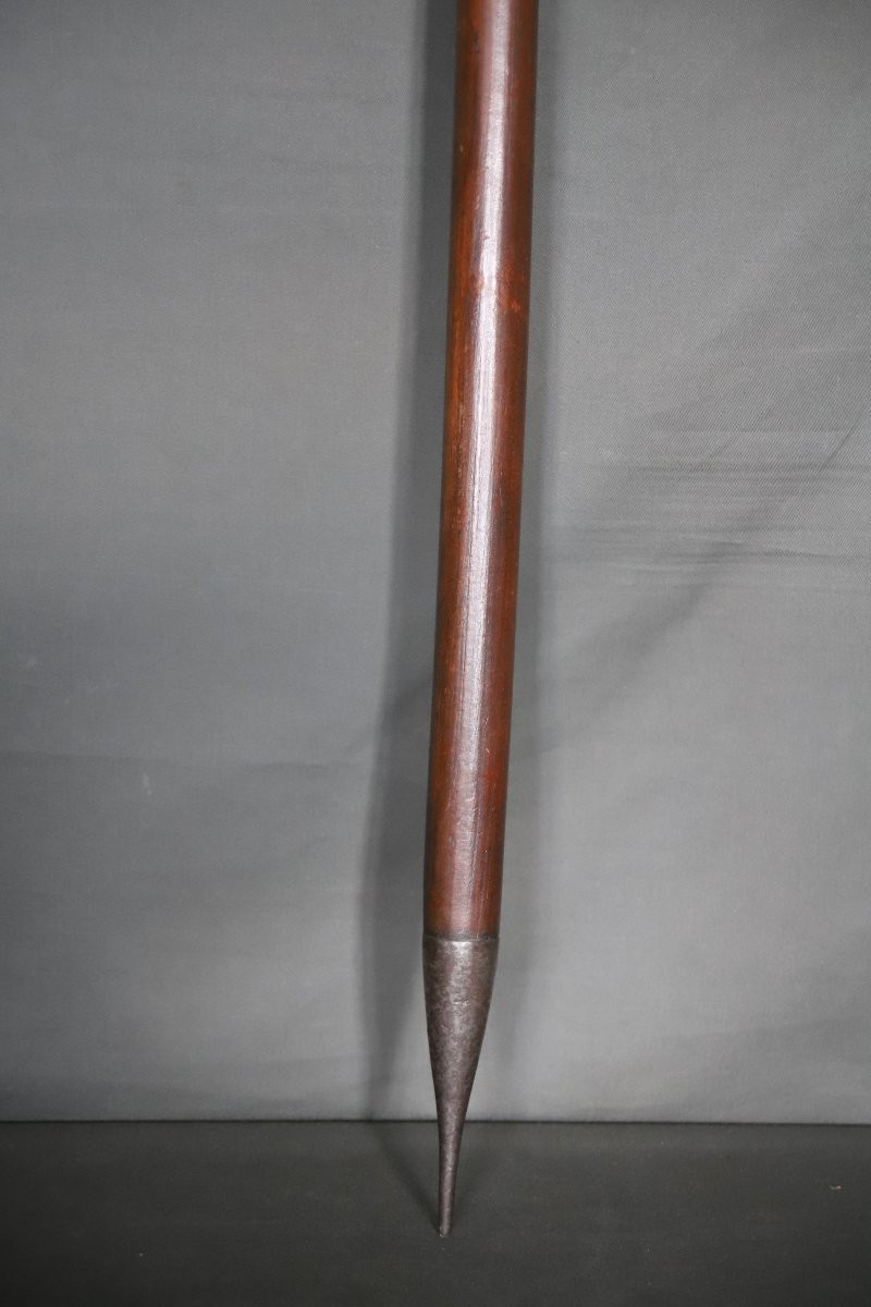 Hunting Spear, Naval Pike? France 19th Century-photo-4