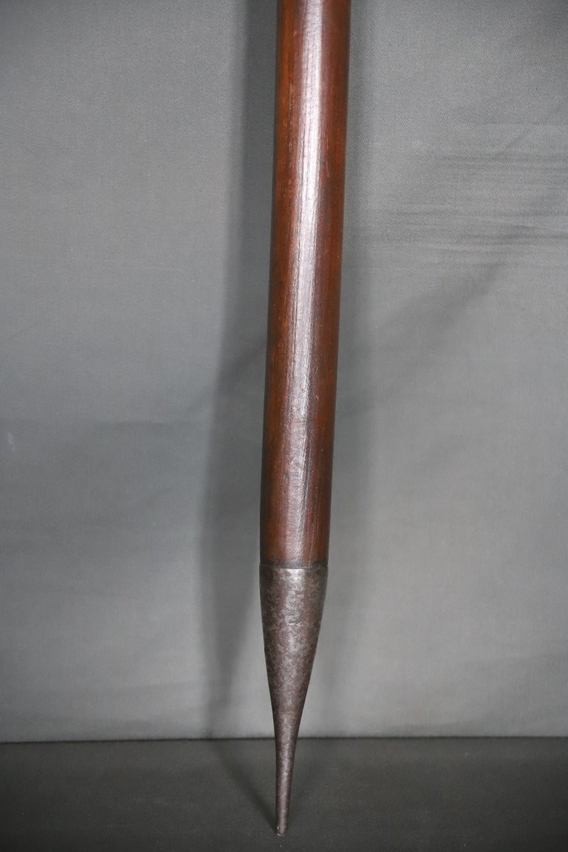 Hunting Spear, Naval Pike? France 19th Century-photo-5
