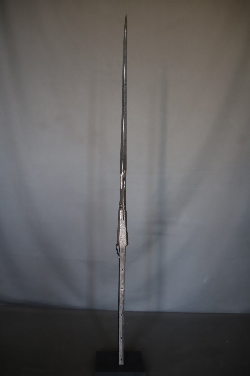 Corbin Beak Halberd Head - Europe, 17th Century -photo-2
