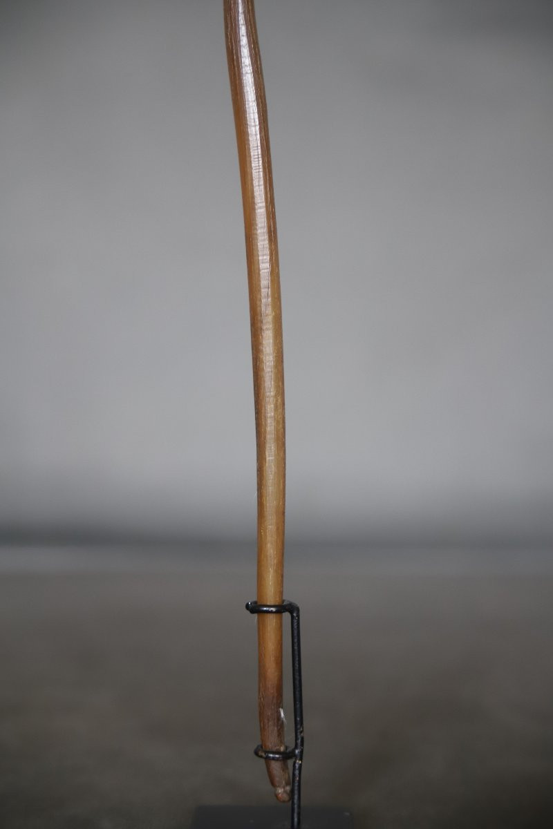 Cuillère De Prestige En Corne Blonde - Abyssinie, Ethiopie, Vers 1900-photo-7