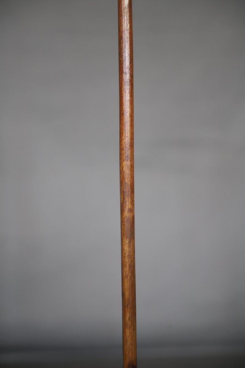 Prestige Spoon In Blonde Horn - Abyssinia, Ethiopia, Circa 1900 (3)-photo-4