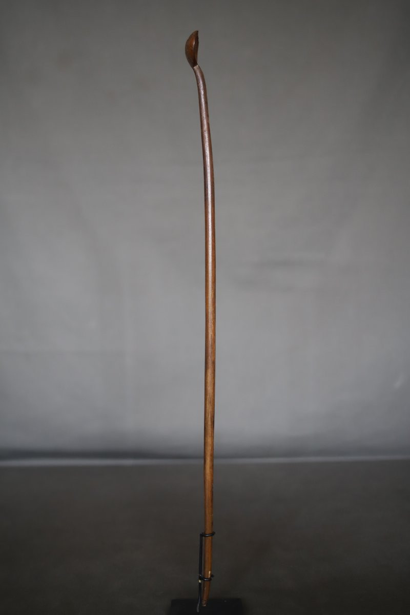 Prestige Spoon In Blonde Horn - Abyssinia, Ethiopia, Circa 1900 (3)-photo-2