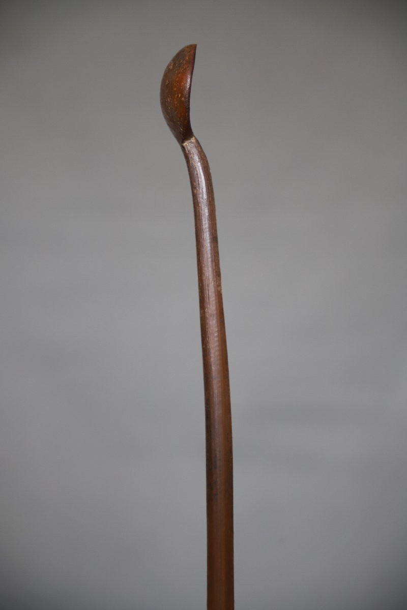 Prestige Spoon In Blonde Horn - Abyssinia, Ethiopia, Circa 1900 (3)-photo-3
