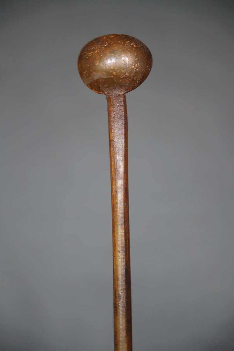 Prestige Spoon In Blonde Horn - Abyssinia, Ethiopia, Circa 1900 (3)-photo-6