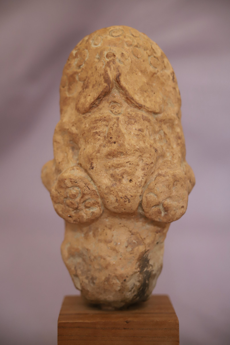 Terracotta Female Head - India, Gupta Period, 4th-6th Century