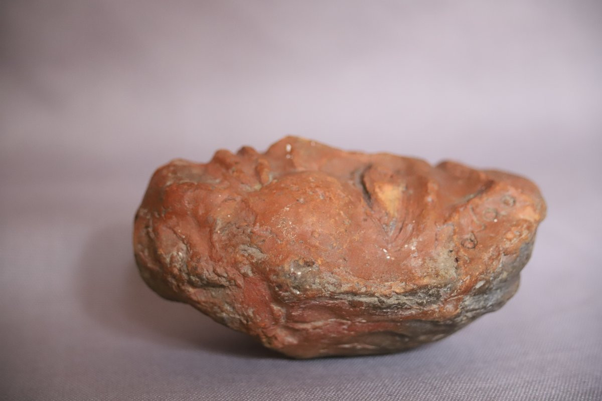 Anthropomorphic Terracotta Head - India, Gupta Period, 4th-6th Century -photo-4