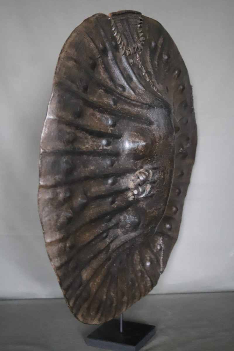 Shield Of The Horn Of Africa - Abyssinia, Ethiopia, Early 20th Century Or Earlier-photo-2