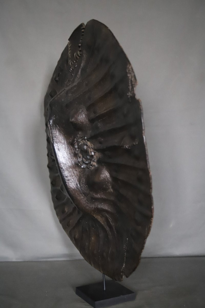 Shield Of The Horn Of Africa - Abyssinia, Ethiopia, Early 20th Century Or Earlier-photo-3