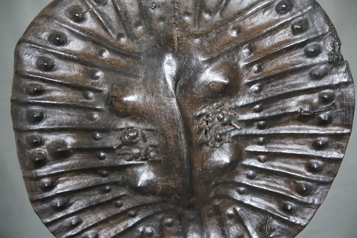 Shield Of The Horn Of Africa - Abyssinia, Ethiopia, Early 20th Century Or Earlier-photo-1