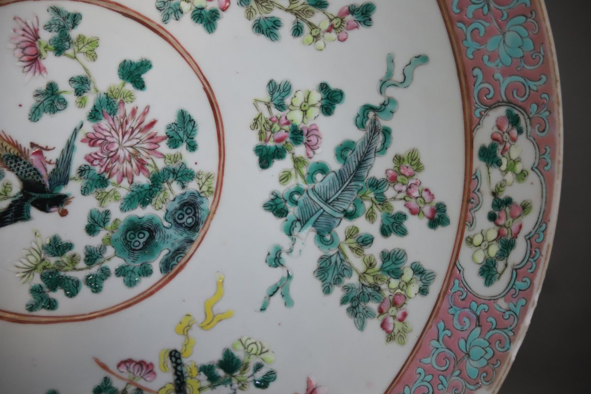 Important Chinese Porcelain Dish - 19th Century, Probably Guangxu Period-photo-3