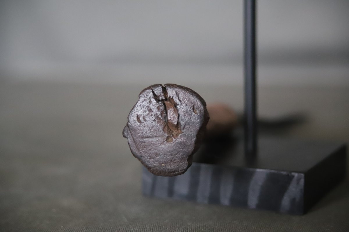 Knife Said Basakpwa - Congo, Yakoma, Sango, Ngbandi... Collected Around 1910 -photo-2