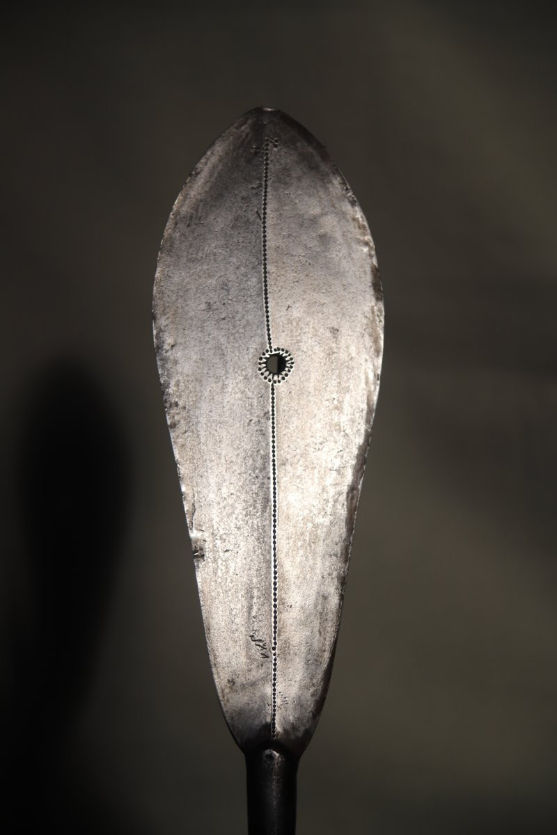 Prestige Knife - Drc, Central African Republic, Collected Around 1910 -photo-3