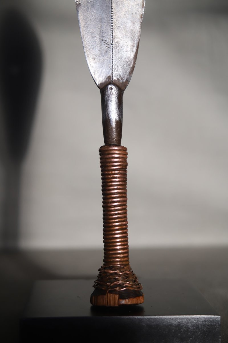 Prestige Knife - Drc, Central African Republic, Collected Around 1910 -photo-4