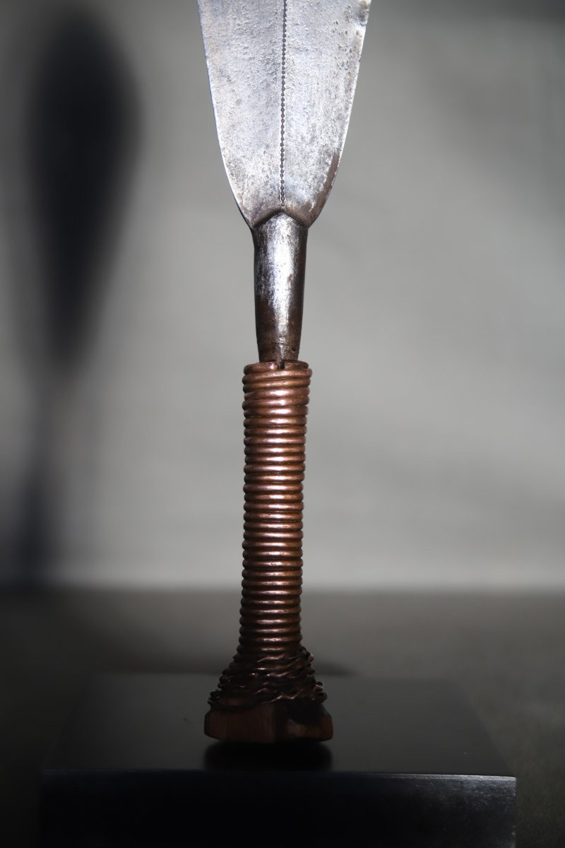 Prestige Knife - Drc, Central African Republic, Collected Around 1910 -photo-2