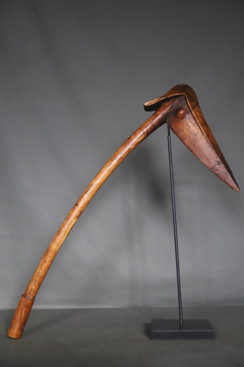 Kanak Bird-beak Club - Melanesia, New Caledonia, Early 20th Century Or Earlier-photo-2
