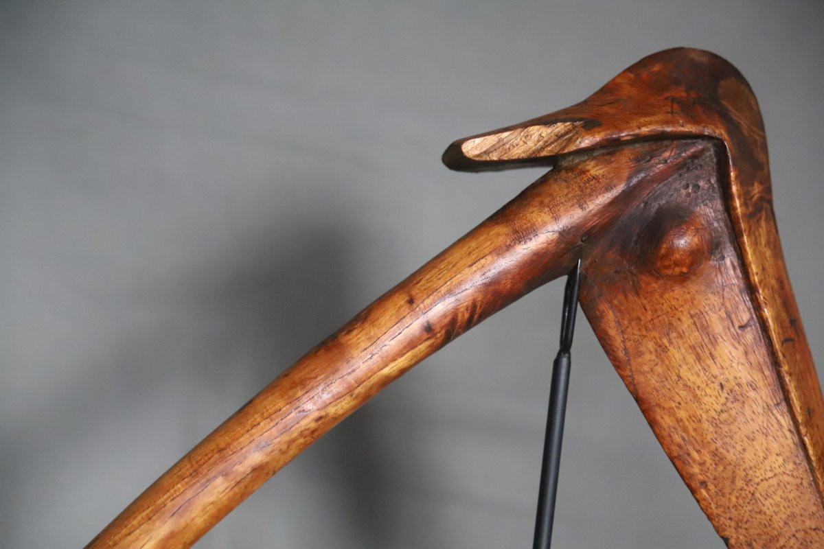 Kanak Bird-beak Club - Melanesia, New Caledonia, Early 20th Century Or Earlier-photo-4