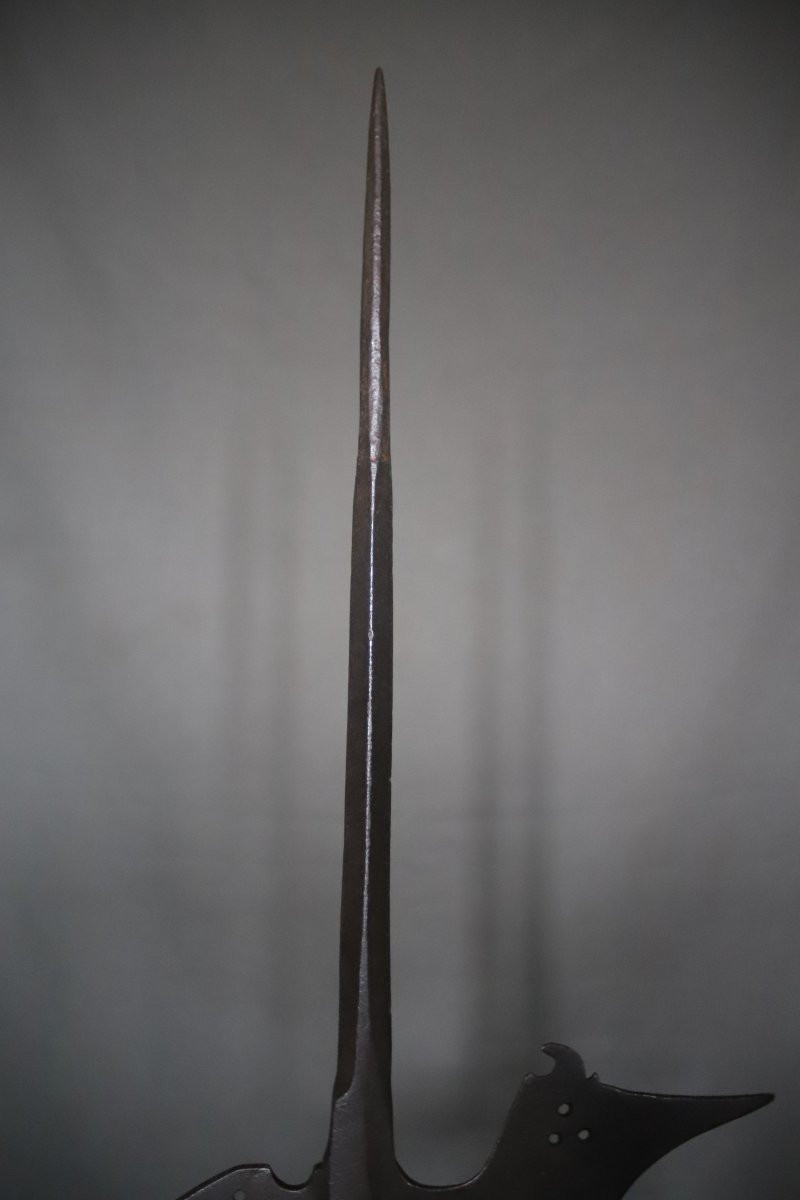 Fer De Hallebarde - Europe, 16ème Siècle-photo-1