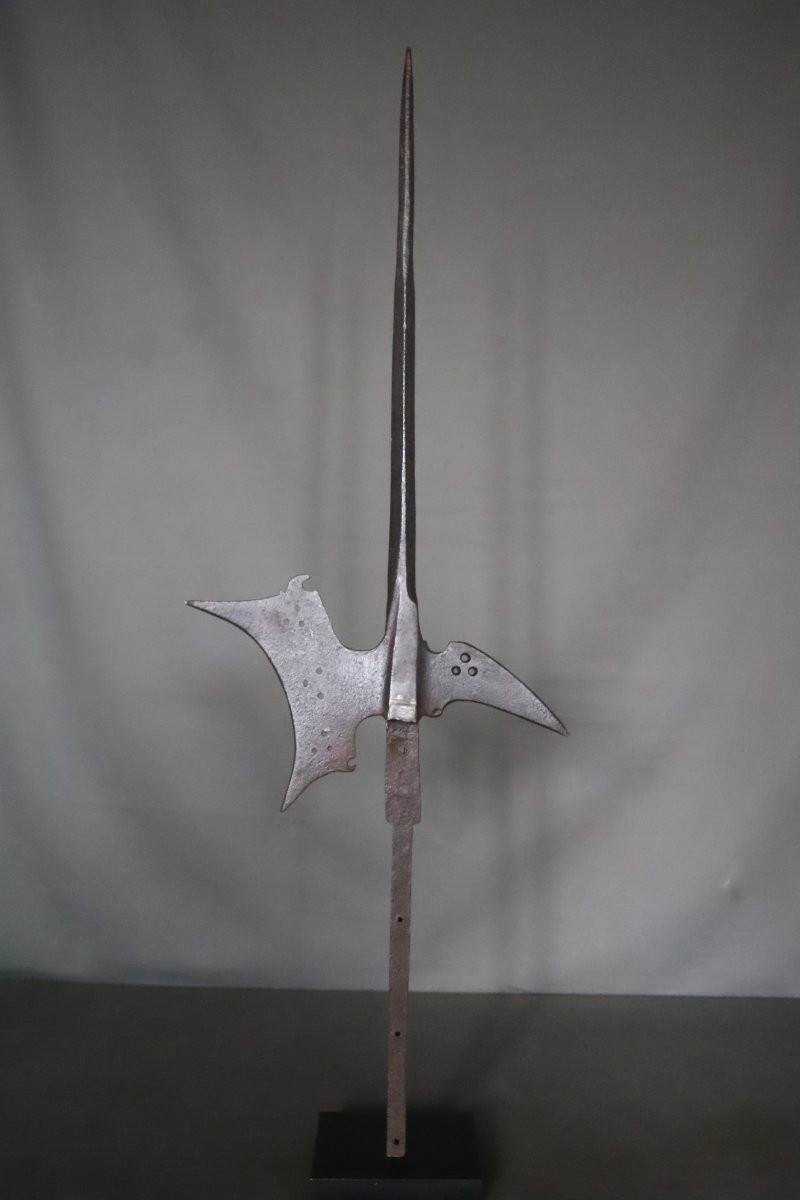 Fer De Hallebarde - Europe, 16ème Siècle-photo-3