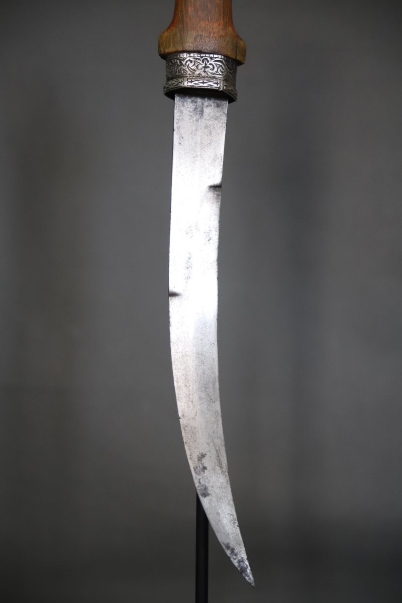 Dague Marocaine dite koumya, argent et corne blonde - Maroc, 19ème siècle-photo-7