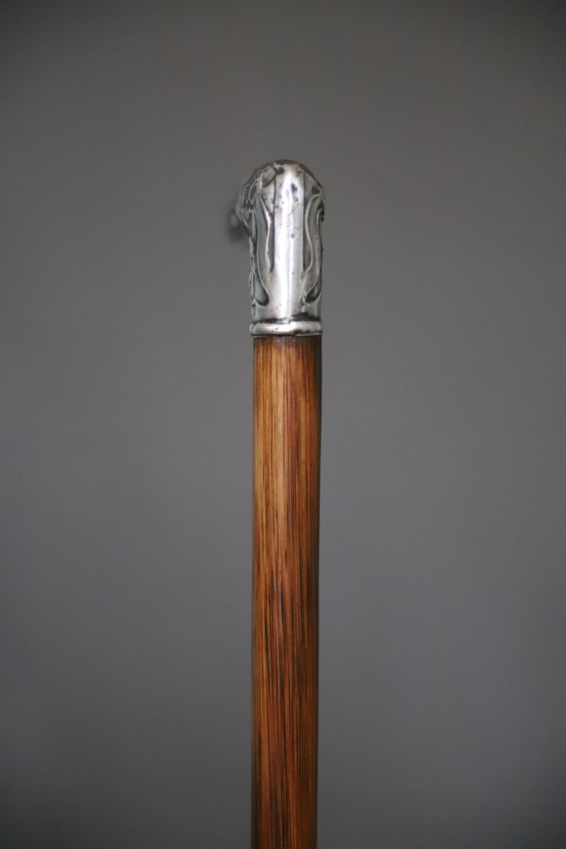 Fine Silver Cane With Handle - France, Circa 1900-photo-4