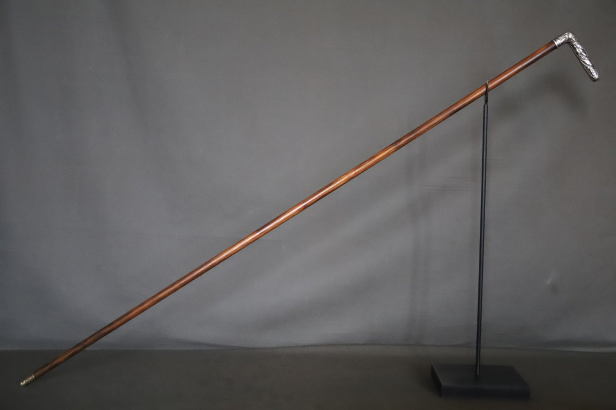 Fine Silver Cane With Handle - France, Circa 1900-photo-2