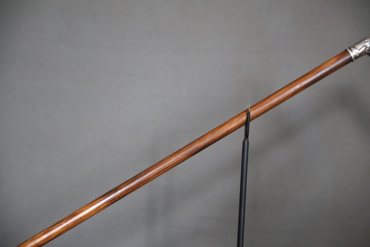 Fine Silver Cane With Handle - France, Circa 1900-photo-3