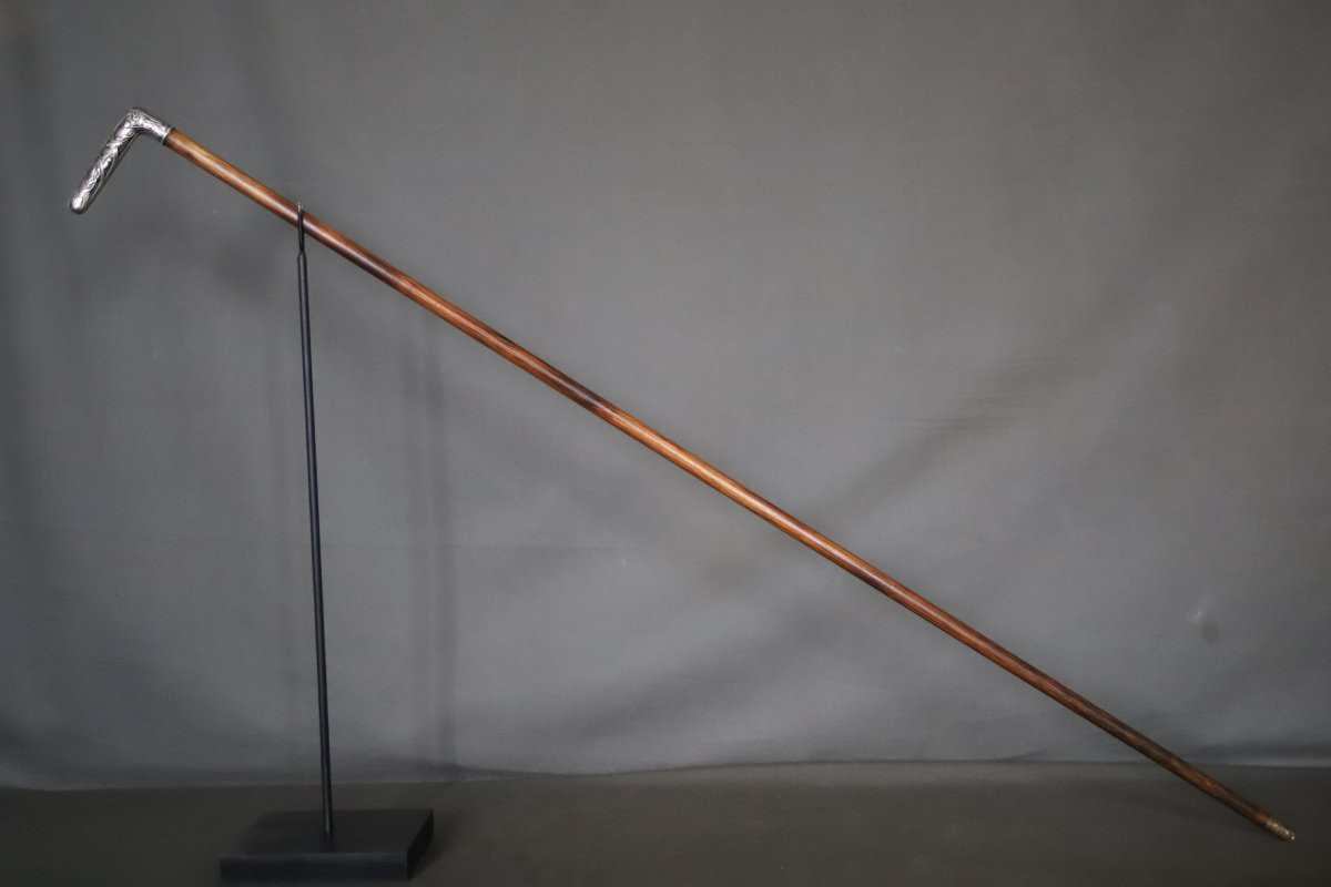 Fine Silver Cane With Handle - France, Circa 1900-photo-5