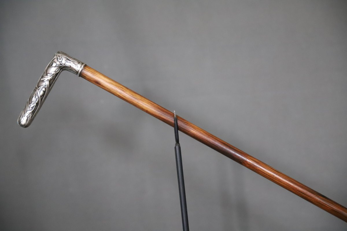 Fine Silver Cane With Handle - France, Circa 1900-photo-6