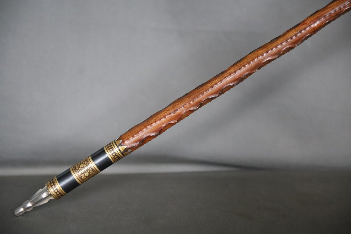 Basuqe Cane Called Makhila - Luxury Model - France, Early 20th Century-photo-2