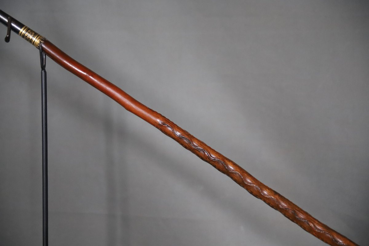 Basuqe Cane Called Makhila - Luxury Model - France, Early 20th Century-photo-4