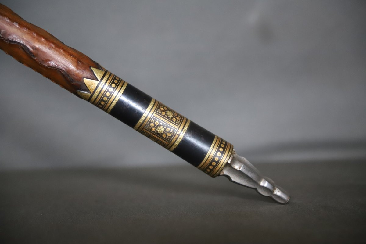 Basuqe Cane Called Makhila - Luxury Model - France, Early 20th Century-photo-6