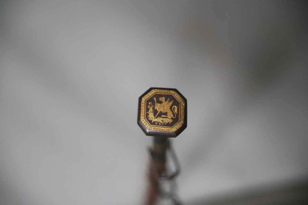 Basuqe Cane Called Makhila - Luxury Model - France, Early 20th Century-photo-7