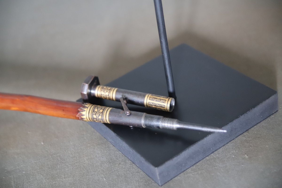 Basuqe Cane Called Makhila - Luxury Model - France, Early 20th Century-photo-8