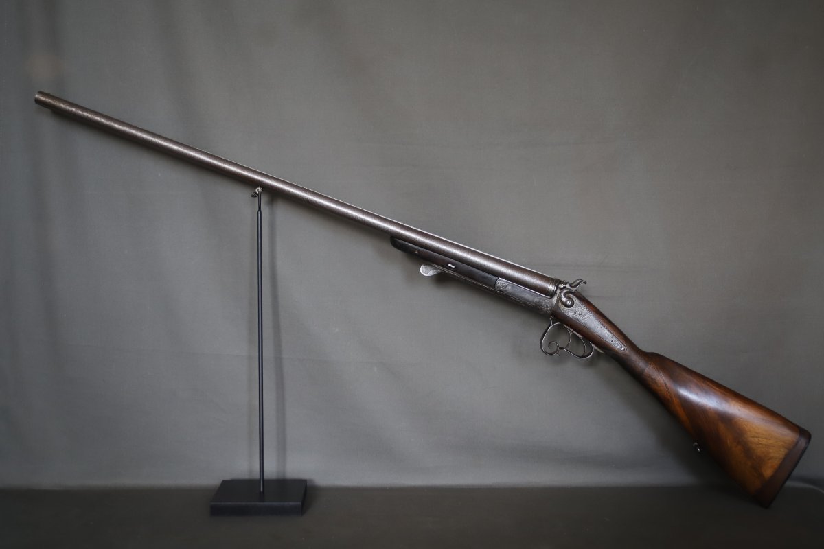 16 Gauge Centerfire Hunting Rifle And Outdoor Dogs - Late 19th Century, Category D-photo-2