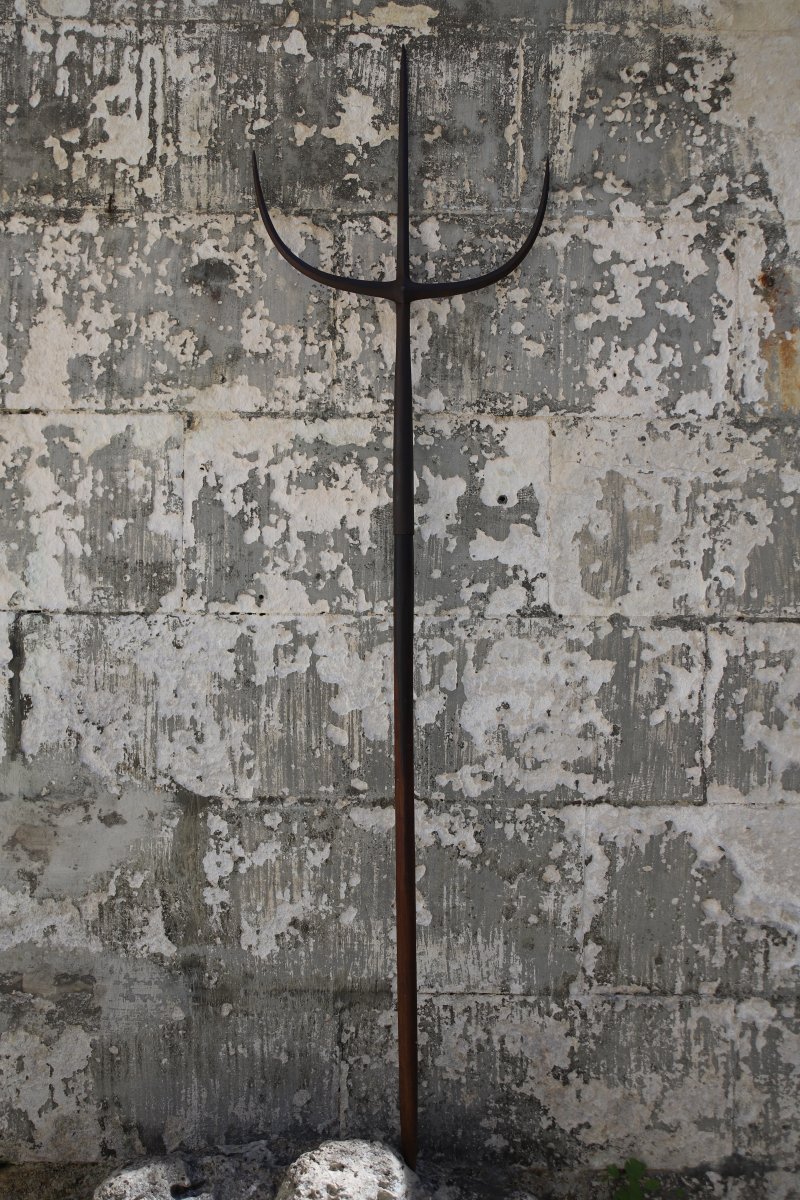 Halberd Known As -photo-2
