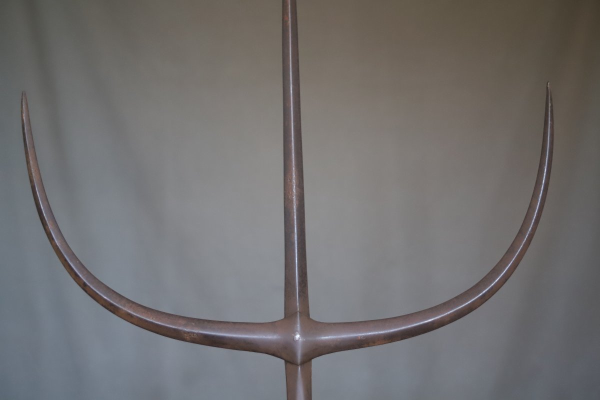 Halberd Known As -photo-4